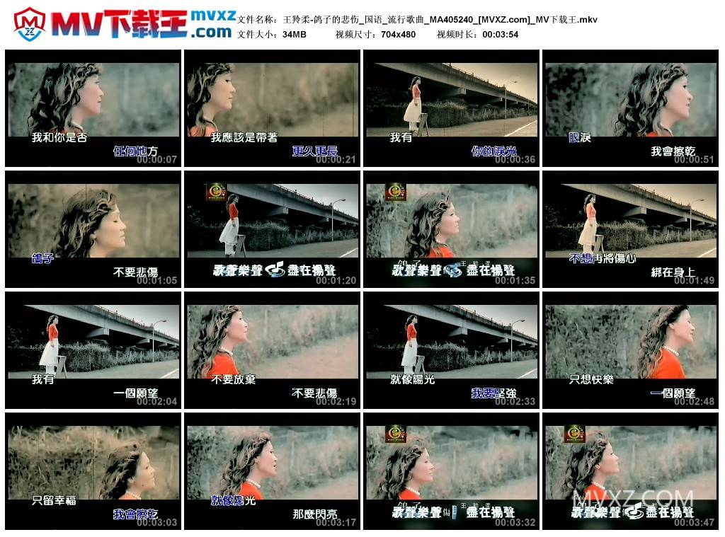 王羚柔-鸽子的悲伤_国语_流行歌曲_MA405240